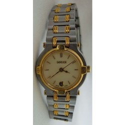 GW-019S