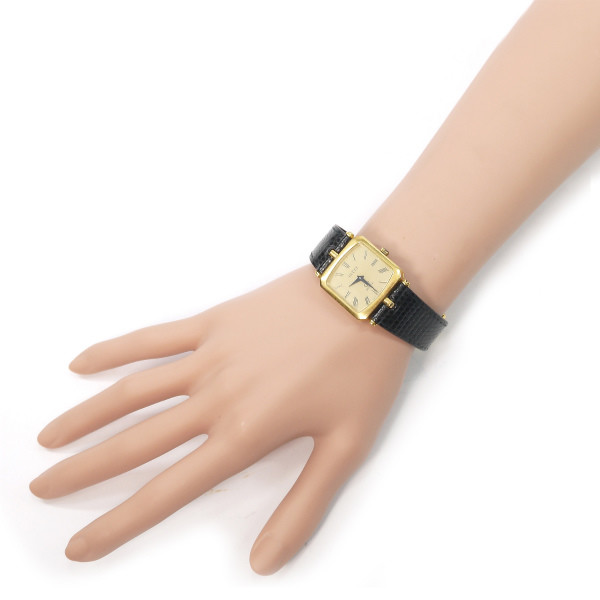 GW-061C