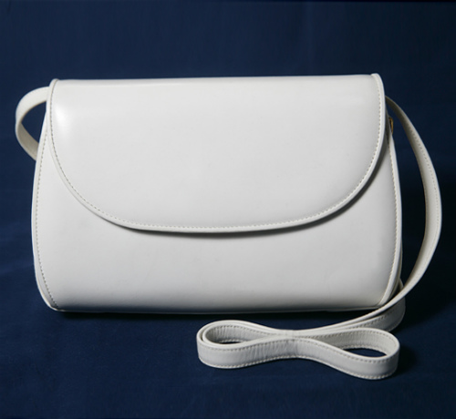 GS-256W