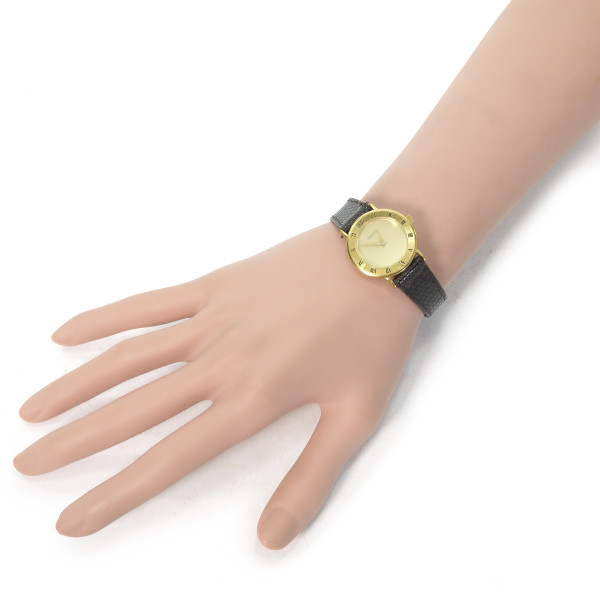 GW-036K